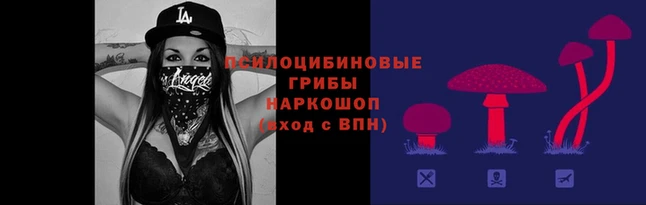 героин Алексин