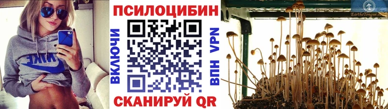Псилоцибиновые грибы MAGIC MUSHROOMS  Суджа 