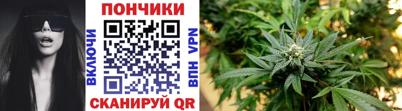 Каннабис LSD WEED  закладки  Суджа 